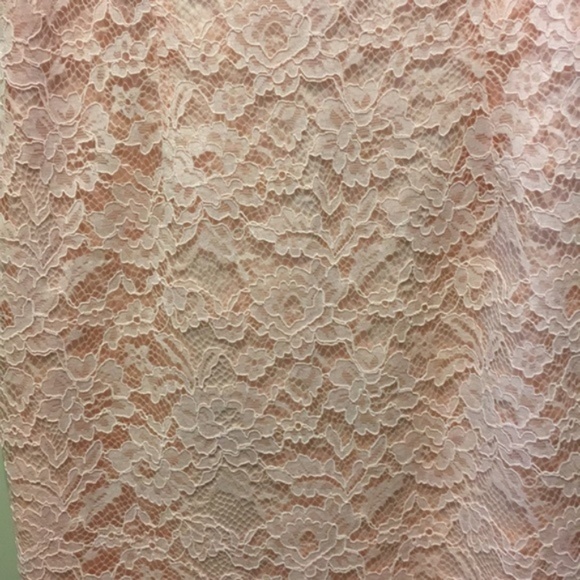 Tahari Arthur S. Levine blush pink crew neck lace overlay Dress NWT size 18 - Picture 4 of 4